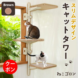 y15ItN[|zLbg^[ gp(uE) {[J[  L^[  o ȃXy[X {  JX^}CY JX^p[c  LbgXebv 125cm (