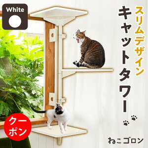 y15ItN[|zLbg^[ gp (zCg){[J[  L^[  o ȃXy[X  {  JX^}CY JX^ p[c LbgXebv 125cm 