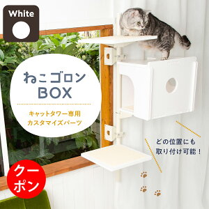 y15ItN[|zLbg^[p{bNX(zCg) {̕ʔ {[J[   o LbgnEX  Lpi ȃXy[X X  { (CTE-B2)y˂S