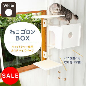 m25OFFSALEnLbg^[p{bNX(zCg) {̕ʔ {[J[   LbgnEX  Lpi ȃXy[X X  { (CTE-B2)y˂S I