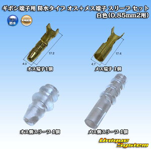 葍 M{V[qp h^Cv IX{X[q X[u 10Zbg F(0.85mm2p)