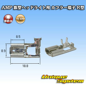 �^�C�R�G���N�g���j�N�X AMP ���^ H4�w�b�h���C�g�p �J�v���[�[�q R�^ 5�{�Z�b�g