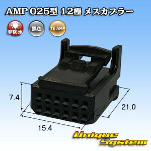 �^�C�R�G���N�g���j�N�X AMP 025�^I 12�� ���X�J�v���[ ���F