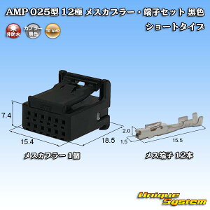�^�C�R�G���N�g���j�N�X AMP 025�^I 12�� ���X�J�v���[�E�[�q�Z�b�g ���F �V���[�g�^�C�v