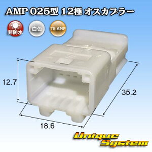 �^�C�R�G���N�g���j�N�X AMP 025�^I 12�� �I�X�J�v���[