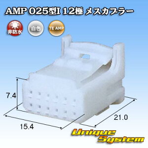 �^�C�R�G���N�g���j�N�X AMP 025�^I 12�� ���X�J�v���[