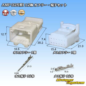 �^�C�R�G���N�g���j�N�X AMP 025�^I 12�� �J�v���[�E�[�q�Z�b�g