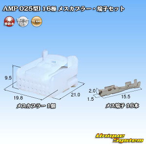 �^�C�R�G���N�g���j�N�X AMP 025�^I 16�� ���X�J�v���[�E�[�q�Z�b�g