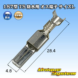 �Z�F�d�� 187�^ TS �h���p �I�X�[�q 10�{�Z�b�g �T�C�YL