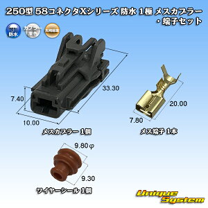 葍 250^ 58RlN^XV[Y h 1 XJv[E[qZbg