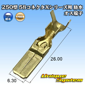 葍 250^ 58RlN^XV[Yp h IX[q 10{Zbg