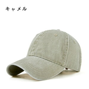 Lbv Xq fj CAP n Y Xq 傫TCY  y x[X{[Lbv JWA j  ߉\ O΍ 싅X 傫 StX  o v[