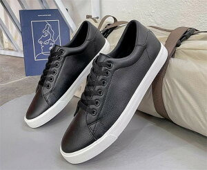 Xj[J[ Y fB[X Jbv yAbN jp JWAV[Y [t@[ Xj[J[  ₷ Ȃ r JWA  C ʋ ʊw i 