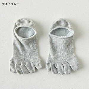 C bV Y 5{w\bNX 3Zbg EȂ ėp Xj[J[\bNX V[g   ~ 5{wC Ȃ  