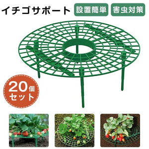 C`SI 20Zbg x C`ST|[g Xgx[T|[g Ax ~`ݒuȒP 䕕cI ͔|I xI |x  t[X^h |bN ؃X^h T|[gI 