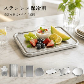 【 即納★クーポンで最安70%OFF】 ステンレス製 保冷剤 長時間冷却 驚異の保冷力 アイスパック 冷蔵冷凍対応 熱中症対策 アウトドア キャンプ 防災グッズ 長持ち 繰り返し使える 保冷用品 夏の必需品
