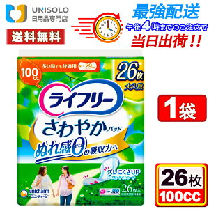 _10/10I|Cg5{&300~N[|^Ct[ ₩pbh p APApbh 100cc łKp 29cm 26 Apbh ApV[g jE`[