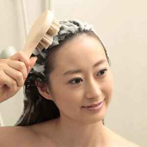 nт̓uV  VR n tP L  ̉ C qmL SA }bT[W A[guV {