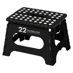 ݑ ܂肽 y RpNg q Xebv 22Z` 킢 Zmr[ 22cm