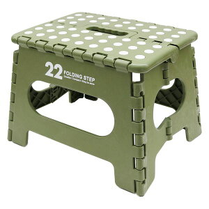 ݑ ܂肽 y RpNg q Xebv 22Z` 킢 Zmr[ 22cm