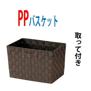 Ci[{bNX J[{bNX SF-903DBR  oXPbg [ oXPbg [ h[  ᔠ E߂ ו ւ Xߎ