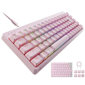 �G���R�� �Q�[�~���O�L�[�{�[�h V-custom VK300S �L�� RGB �e���L�[���X 65%�T�C�Y ���J�j�J�� �l�I�N���b�`�L�[�L���b�v �⎲ �X�s�[�h���j�A USB�|�[�g���� �s���N TK-VK300SPN