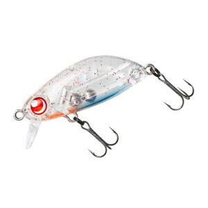 _C(DAIWA) AWO oO l ܘY A~炵 Z36S A[