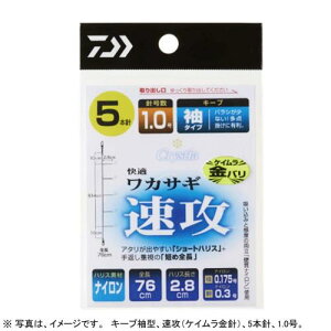 _C(DAIWA) NXeBA KJTMd|KK U L[v 5{ 1-0.175