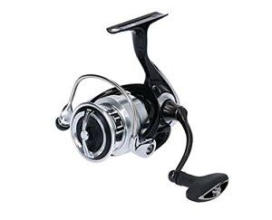 �_�C��(DAIWA) �X�s�j���O���[�� 19 ���O�U LT3000S-CXH(2019���f��)