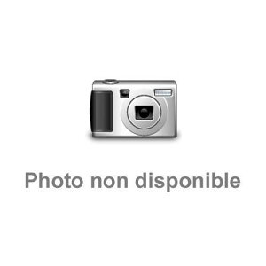 _C(DAIWA) g~ނECޖxbh IL[K AI 1.5-53 ނ