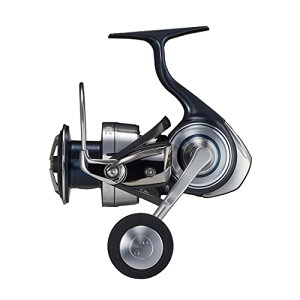 ダイワ(DAIWA) スピニングリール セルテート SW 5000-XH