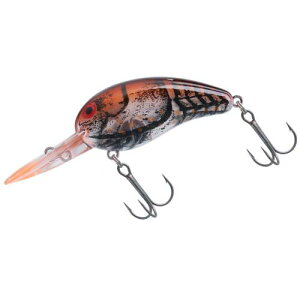 _C(DAIWA) oX Chs[ibc t@guEN[ A[