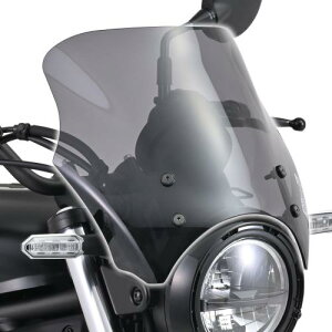 fCgi(Daytona) oCNp XN[ G~l[^[(24)p uXgoA[ X[N 42156