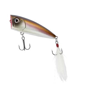 _C(DAIWA) A[ XeB[Y|bp[60F RW JTM