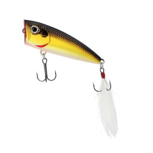 _C(DAIWA) A[ XeB[Y|bp[60F RW NL