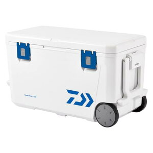 _C(DAIWA) N[[{bNX ^tgN S4300 BL (2023Nf)