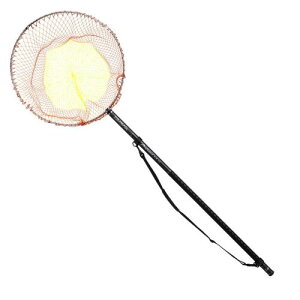 ダイワ(DAIWA) 網付き玉の柄 プログランド磯玉網 50-50・W