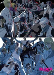 WO\[pY BLEACH N \O/\Rmc 500s[X (500-734)