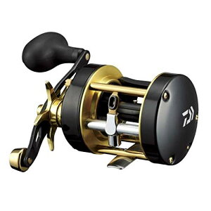 _C(DAIWA) 17 V[z[N 300