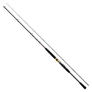 _C(DAIWA) D V[tbNX64 30-240EN ubN
