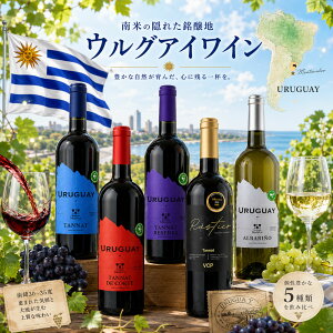 ���y1�P�[�X6�{���z��5��ނ���I�����E���O�A�C���C�� ���C�i���[ �{�f�K ���f���X �u�h�E �� �� �^�i �A���o���[�j�� �f�R���e ���[�����@ ���X�e�B�R �v���[���g ������ �� �V�[�t�[�h �X