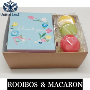 C{XeB[  }J Mtg I[KjbN ߁i12ނ̃C{XoGeB[  }J 3Zbgj َqZbg }JMtg L@C{XeB[ Mtg n[ue