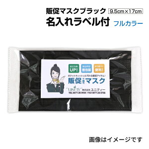 ꃉxt ̑}XN 3000Zbg lp ubN tJ[  v[c}XN