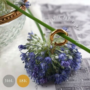 C[Jt@C[Nbv@18K GP T[WJXeX@fB[X@Vv@`F[@S[h@l@킢@@i@GKg@Ў^Cv@mz[sAX@