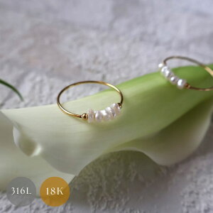 O@Wp[@T[WJXeX@18K 18 wց@S[h@Vo[ ؚ@ׂ߁@Vv@@l@gh@AM[Ή@uniuni@RNG-42