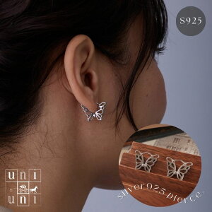 t[vsAX@Vo[925 o^tC  X^[OVo[ fB[X@@Vv@ItBX@fC[@i@@AM[Ή@uniuni PA-98