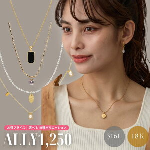 Iׂ10 lbNX T[WJXeX 18 ςȂ AM[Ή AWX^[ 316L Vv ؚ 18K S[h Vo[ ꗱ_C pfB[X XeX fC[ 