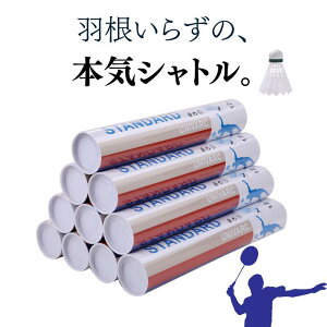 ňl풆I yz oh~g Vg 10_[X 120 iC Kp iS w Z ЉljyVg oh~gVg Kp g[jO  T[N 