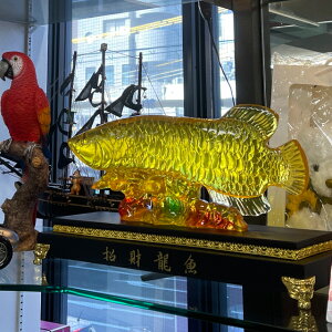  Ai  蕨 v[g ɐ ^ JXj ItBX ڎ   rO CeA Mtg JXj Vzj a  S[h CG[ NA u I