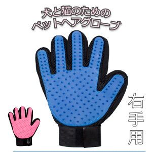 ybg uV O[~O   L  ыʎ g~O